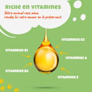 Goutte d'huile enrichie en vitamines B1, B2, A, D3, E de Thilife pour la santé des animaux.