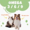 Chiens et chats bénéficient des oméga 3, 6, et 9 de Thilife pour un poil brillant et une peau saine.