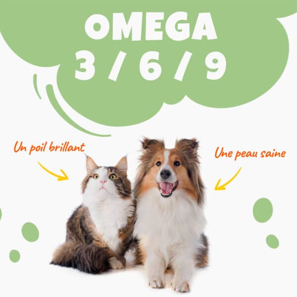 Chiens et chats bénéficient des oméga 3, 6, et 9 de Thilife pour un poil brillant et une peau saine.