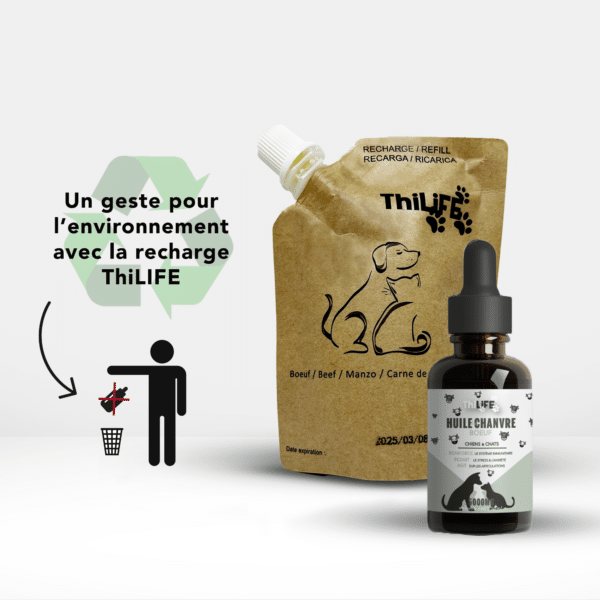 Recharge de 100 ml d'huile de chanvre saveur bœuf Thilife pour chiens et chats, idéale pour la santé articulaire et la réduction du stress