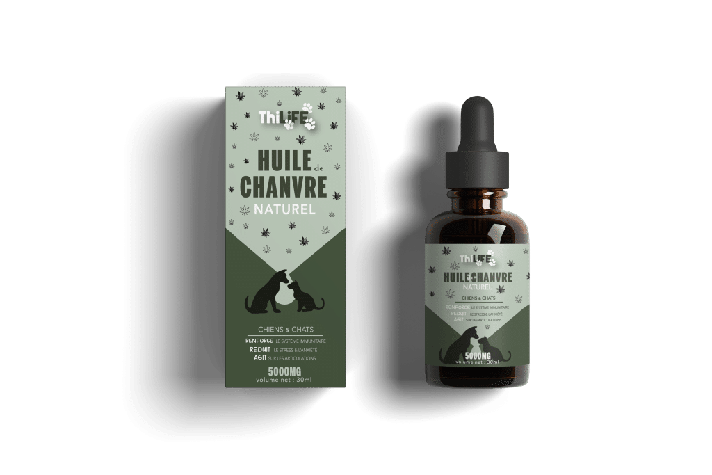 Bouteille d'huile de chanvre naturel Thilife, un supplément sans produits chimiques pour renforcer la santé des chiens et des chats