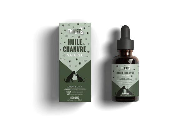 Bouteille d'huile de chanvre naturel Thilife, un supplément sans produits chimiques pour renforcer la santé des chiens et des chats