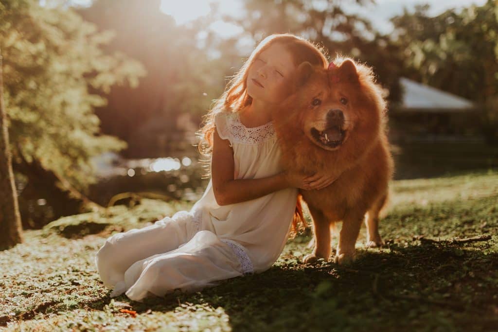 3 Jouets interactifs pour chien: Comment stimuler esprit et énergie/jouet interactif