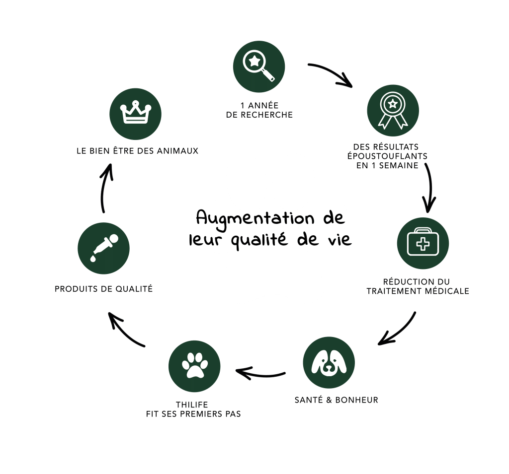 Schéma illustrant les étapes clés pour améliorer la qualité de vie des animaux : 1 an de recherche, des résultats en une semaine, réduction des traitements médicaux, produits de qualité, bien-être des animaux
