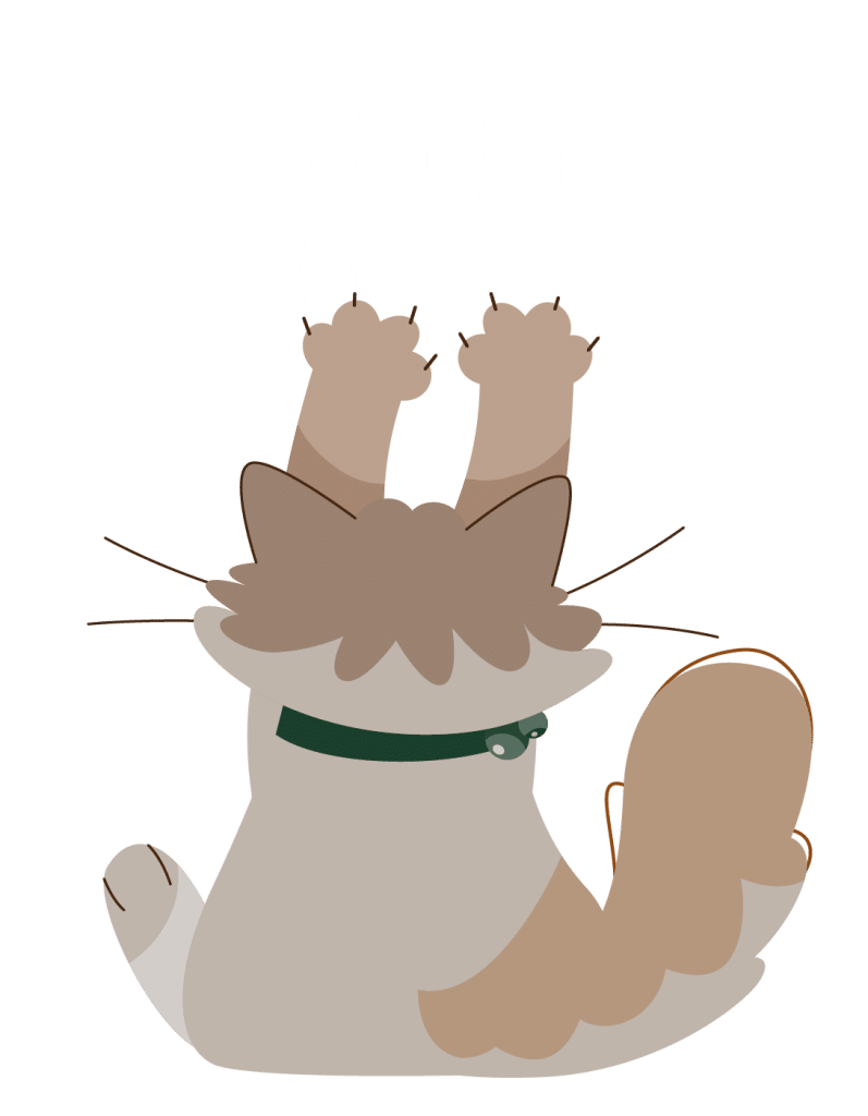 Illustration d'un chat vu de dos, levant les pattes vers le haut, portant un collier vert