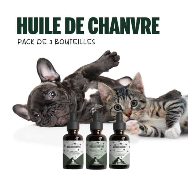 Pack Trio Gourmet Thilife - Huile de Chanvre aux saveurs Poulet, Naturel et Bœuf
