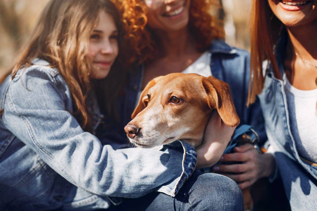 Un chien affectueusement tenu par ses propriétaires en extérieur, symbolisant le lien fort entre humains et animaux