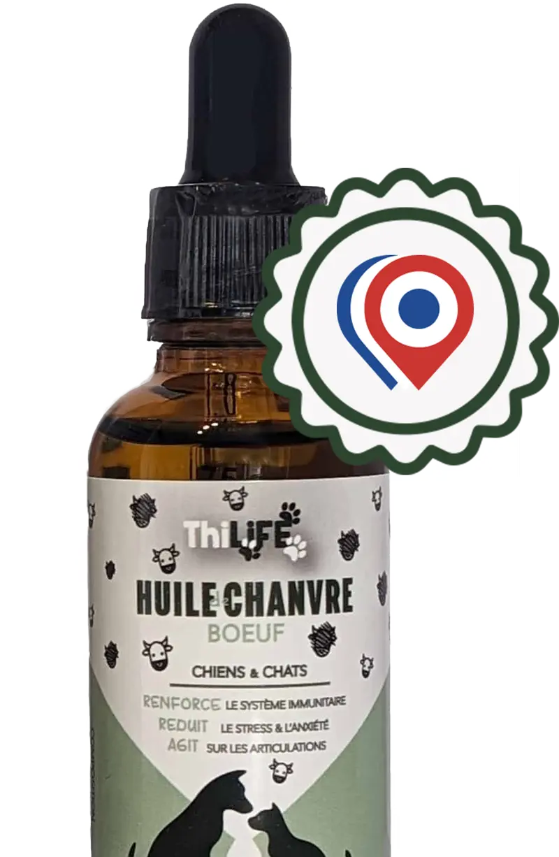 Production d'huile de chanvre Thilife en France, emballage écologique avec label de qualité française