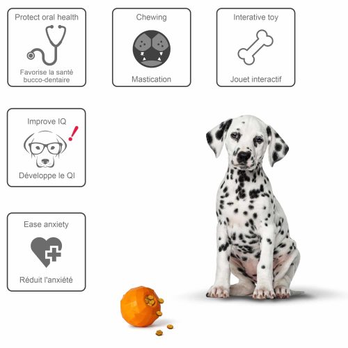 3 Jouets interactifs pour chien: Comment stimuler esprit et énergie/jouet-orange/jouet interactif